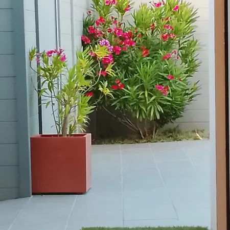 Maison Avec Jardin